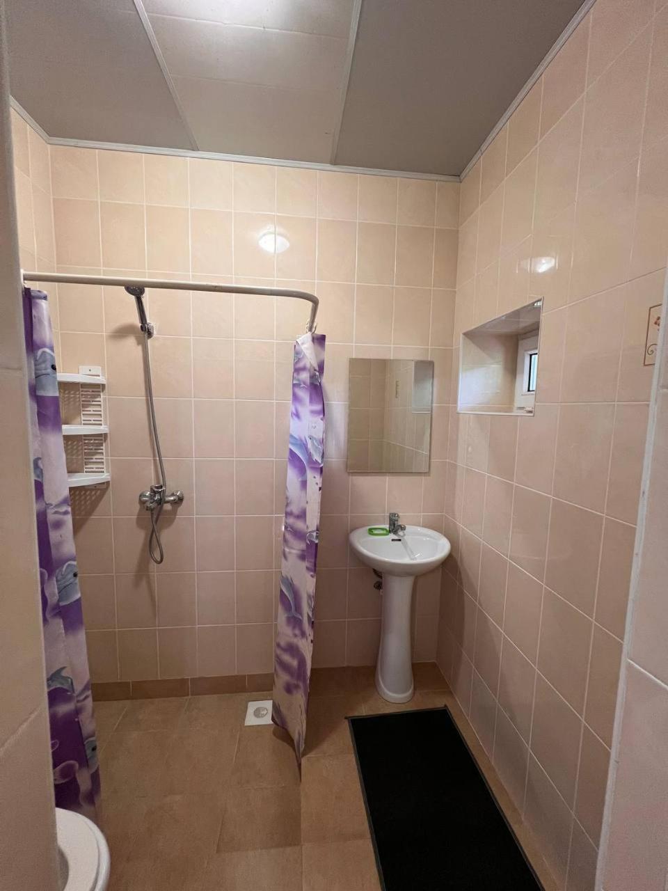 צ'ולפון-אטא Podsolnukhi Guest House מראה חיצוני תמונה