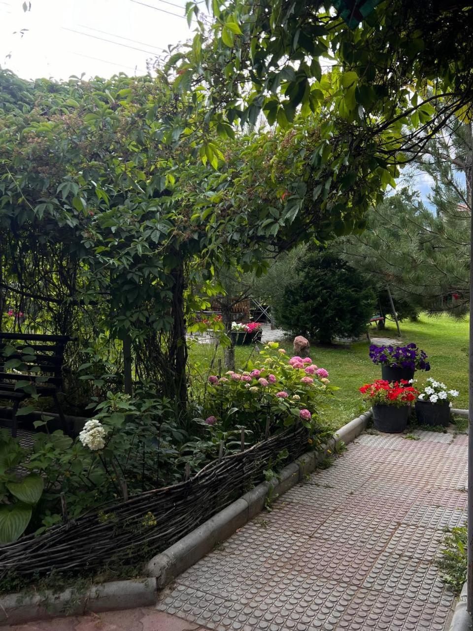 צ'ולפון-אטא Podsolnukhi Guest House מראה חיצוני תמונה