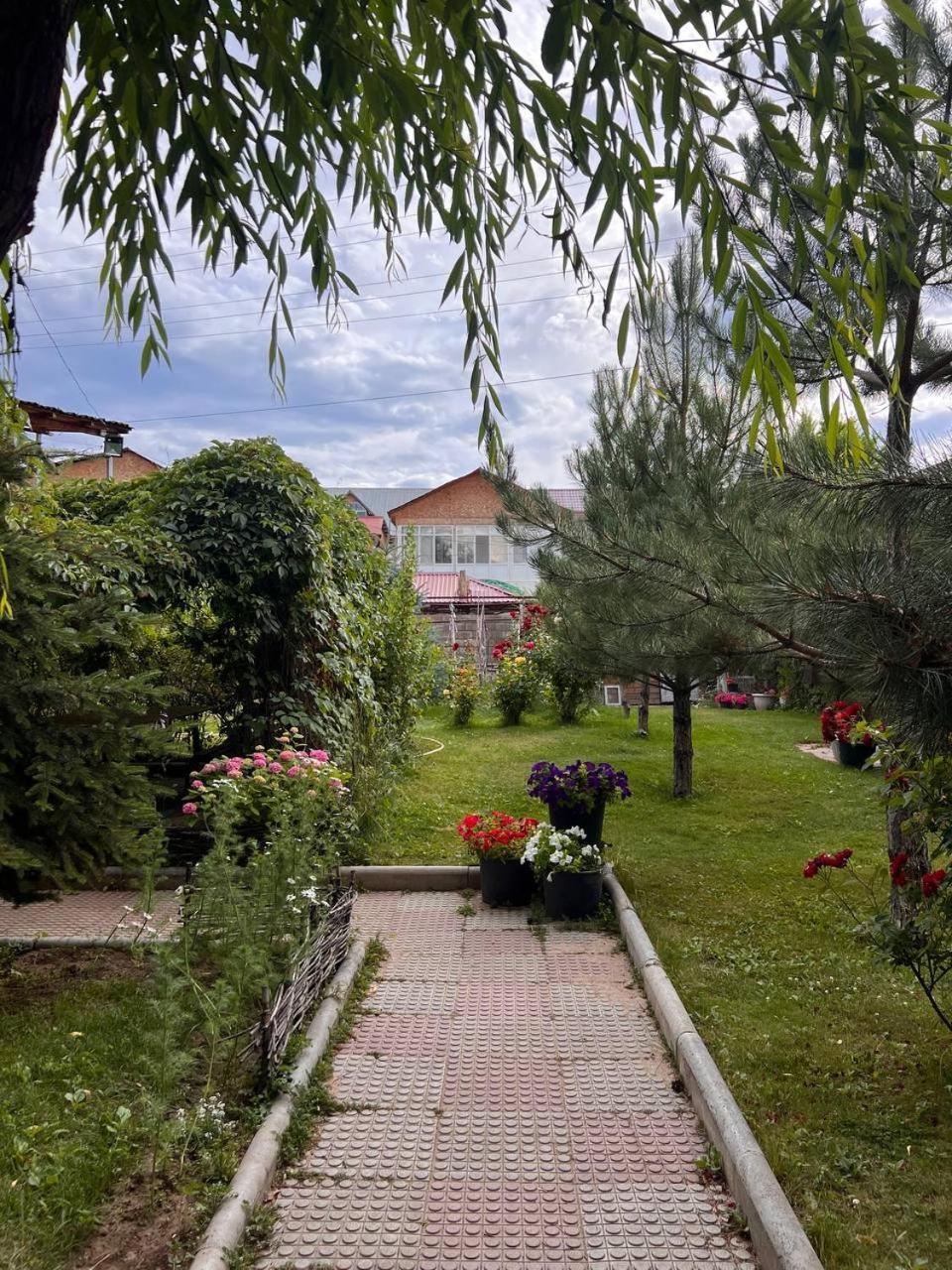 צ'ולפון-אטא Podsolnukhi Guest House מראה חיצוני תמונה