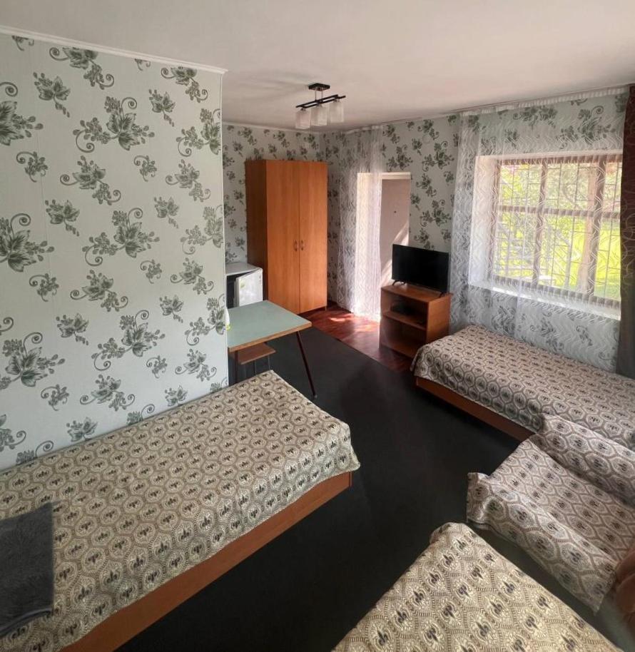 צ'ולפון-אטא Podsolnukhi Guest House מראה חיצוני תמונה