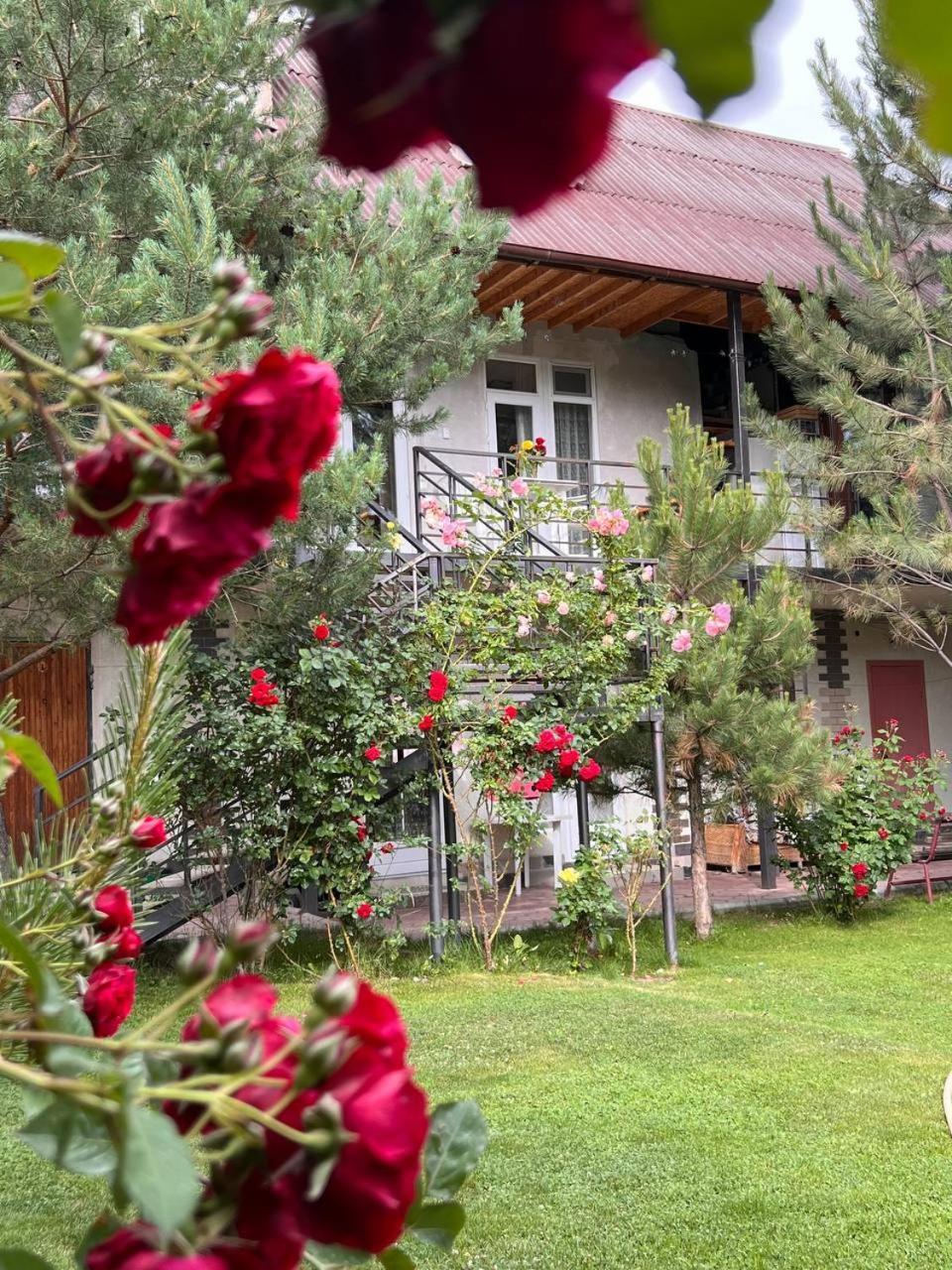 צ'ולפון-אטא Podsolnukhi Guest House מראה חיצוני תמונה