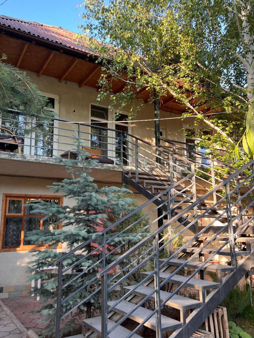 צ'ולפון-אטא Podsolnukhi Guest House מראה חיצוני תמונה